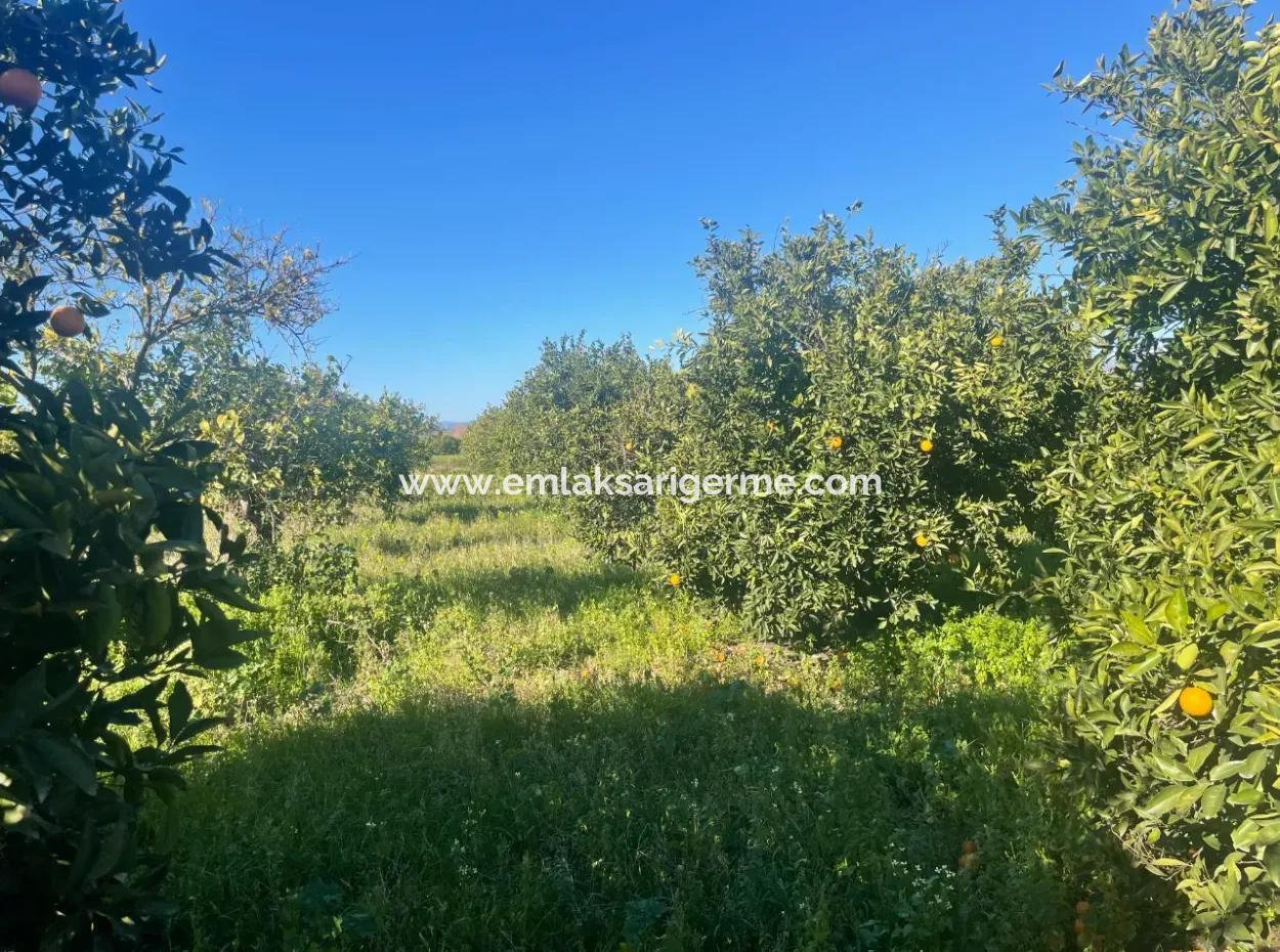 Dalyan Land For Sale 5227M2 Land For Sale
