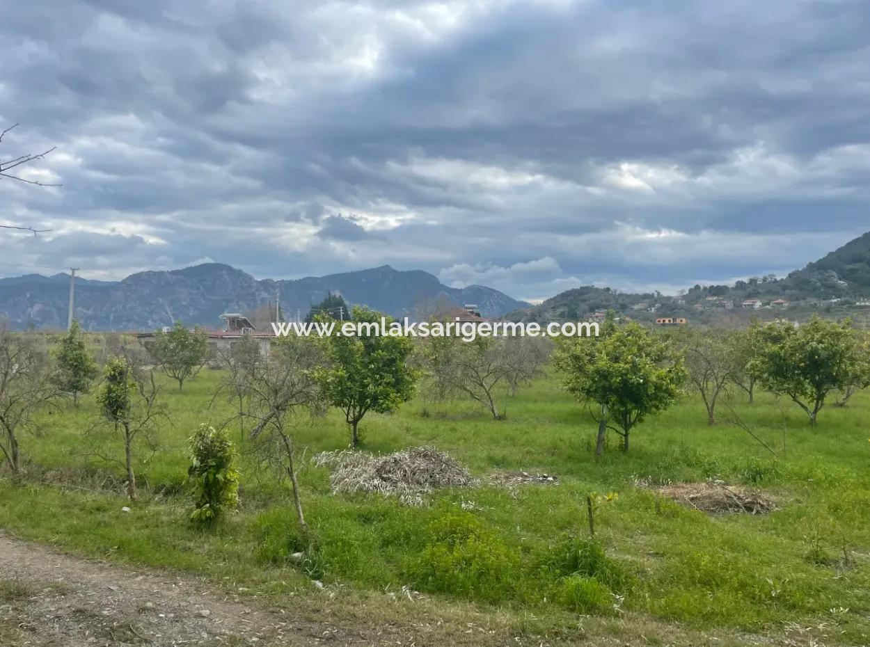 Dalyan Boutique Hotel For Sale Bungolevler For Sale In 11.000M2 Plot