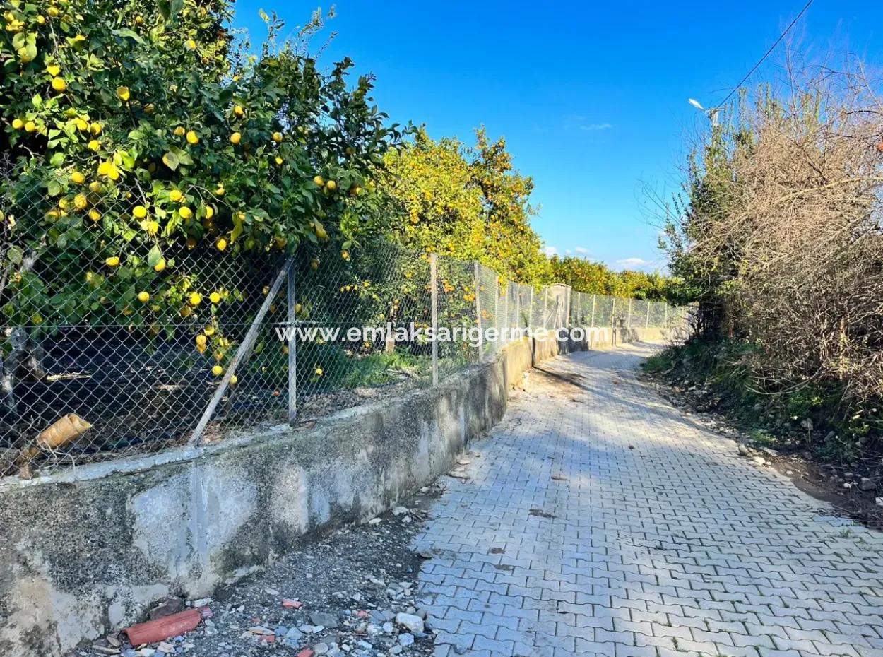 One-Storey House For Sale In 5000M2 Land In Çandır