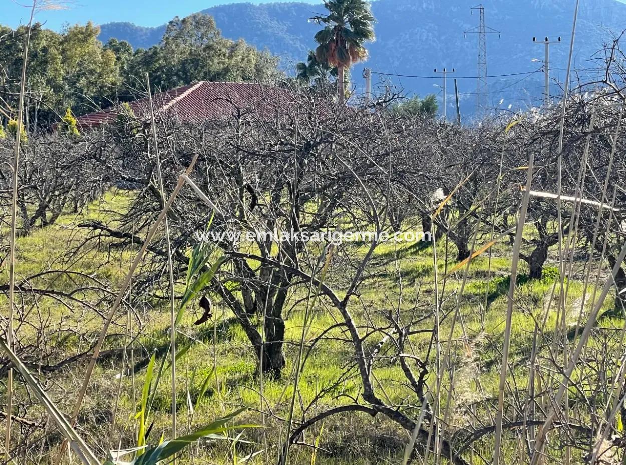 Dalyan Iztuzu Road Zero 5216M2 Field Plot For Sale