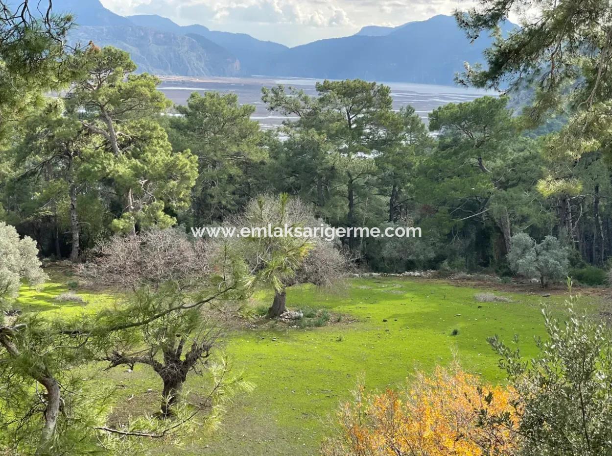 10,707M2 2B Field For Sale With Sea Lake View In Çandır