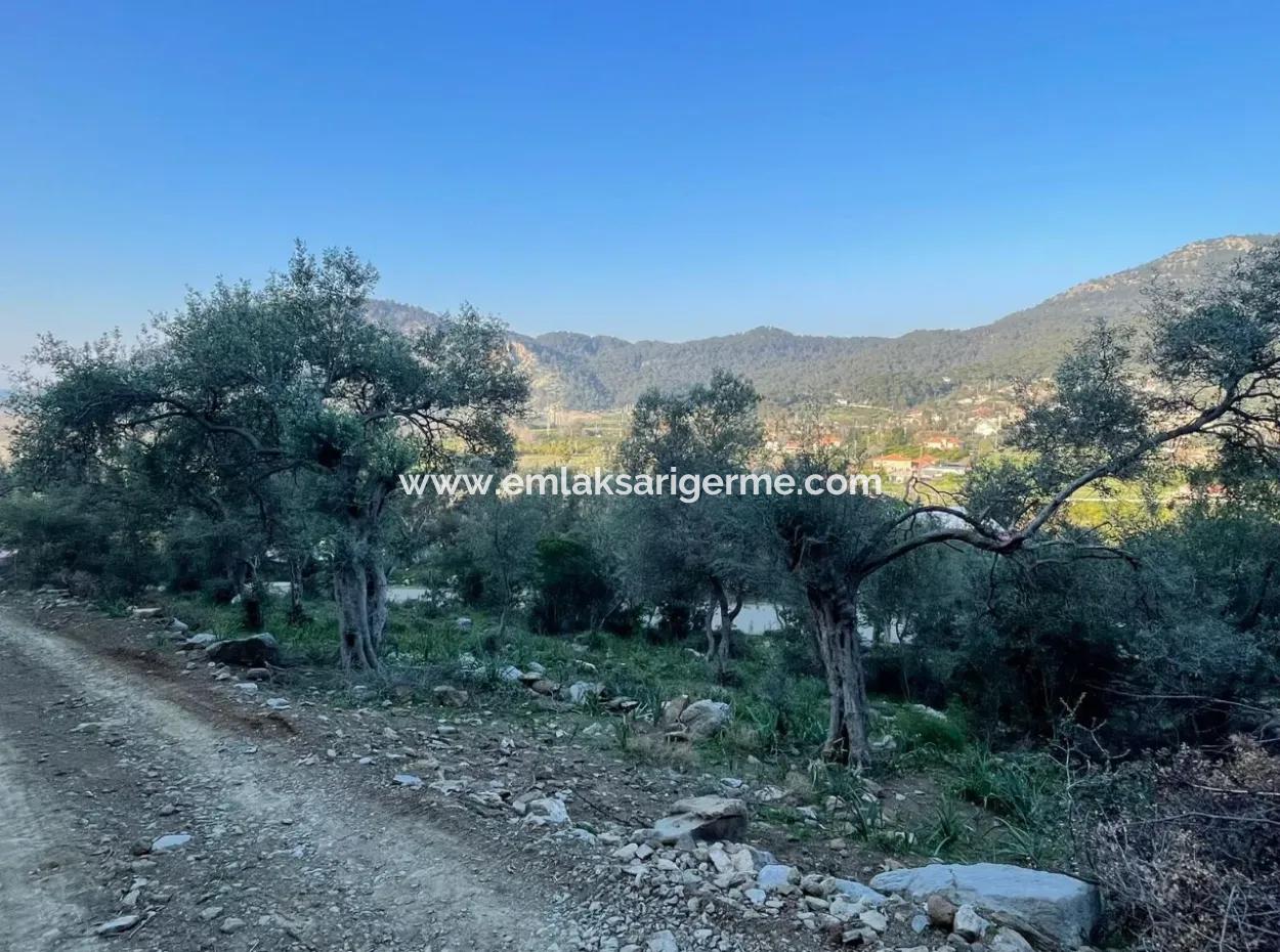 Çandır Lake Sea View 2,806M2 2B Field For Sale