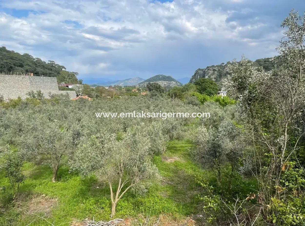 5000M2 Field For Sale At The Beginning Of The Road In Çandır