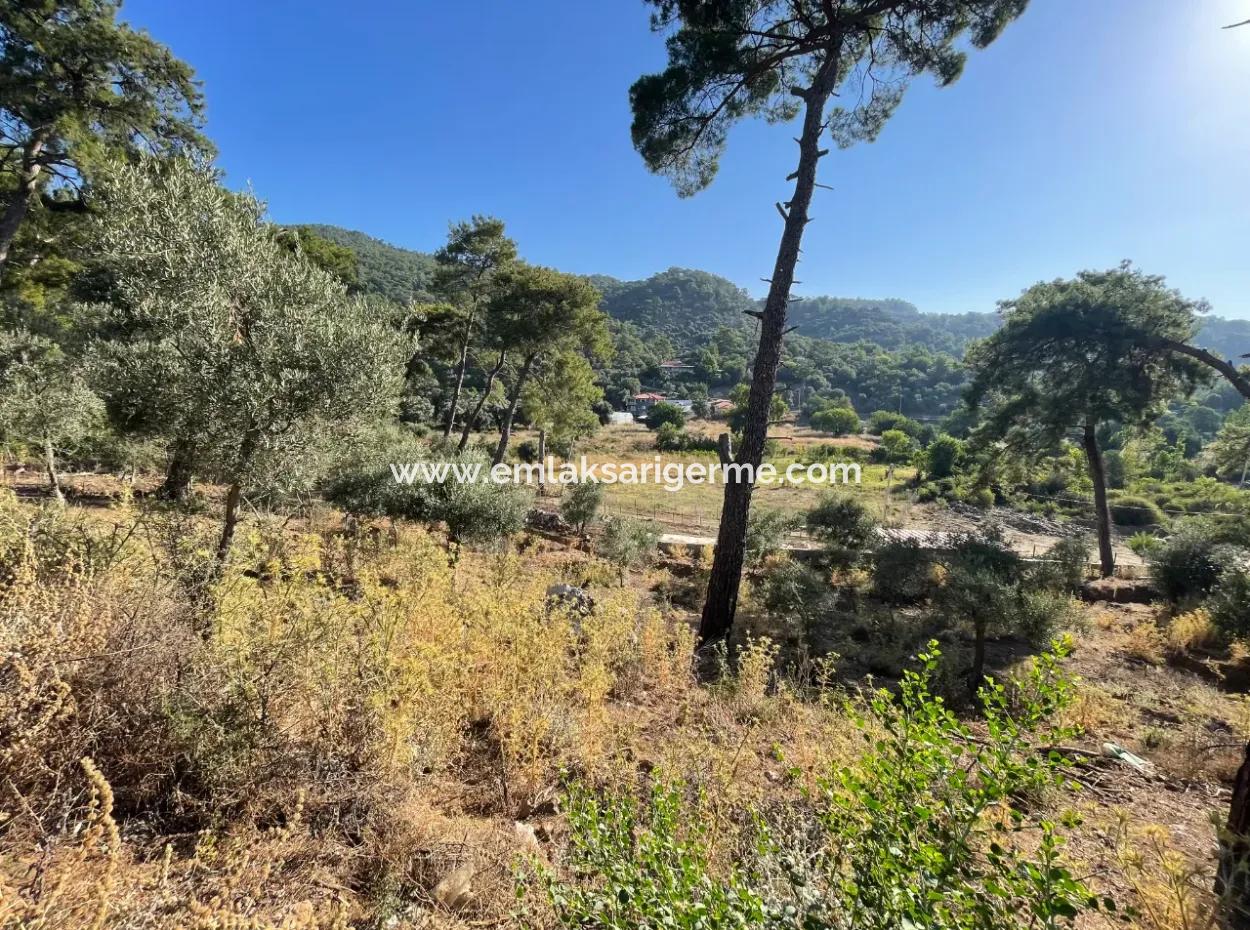 1,320M2 Field For Sale In Çandır Center By The Forest