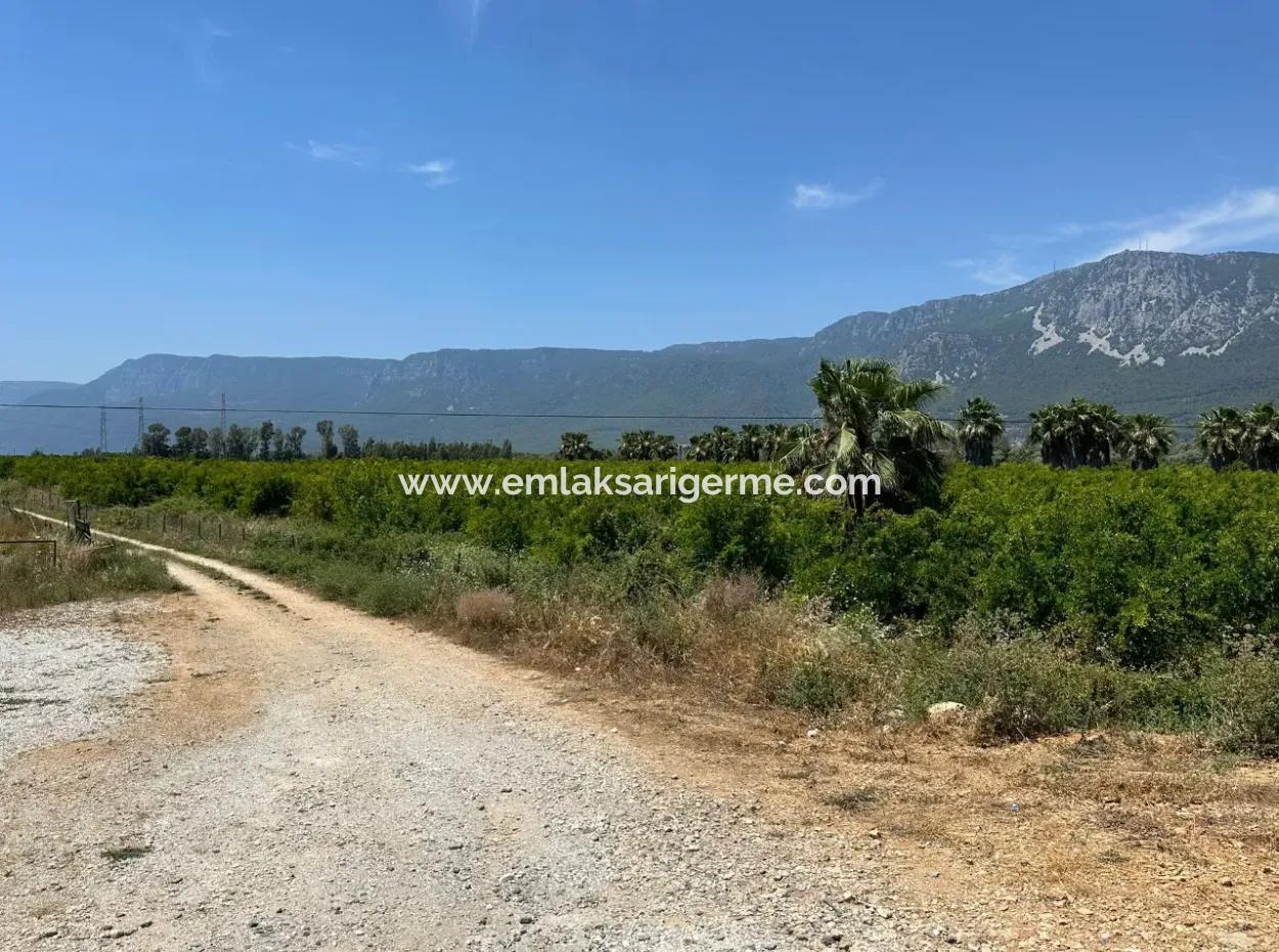 13,500M2 Roadfront Field For Sale In Akyaka Akçapınar
