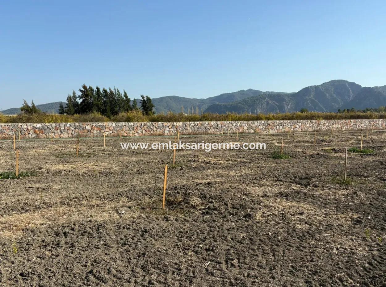 19.663M2 Farm Land And House For Sale In Eskiköy