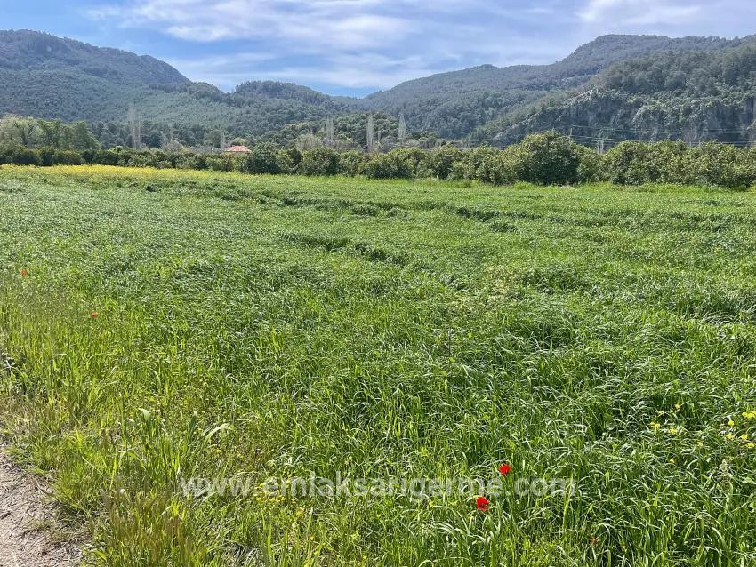 В Окчуларе 736m2 Общая Площадь 250m2 Строительная Разрешение Имеется Продается Земельный Участок