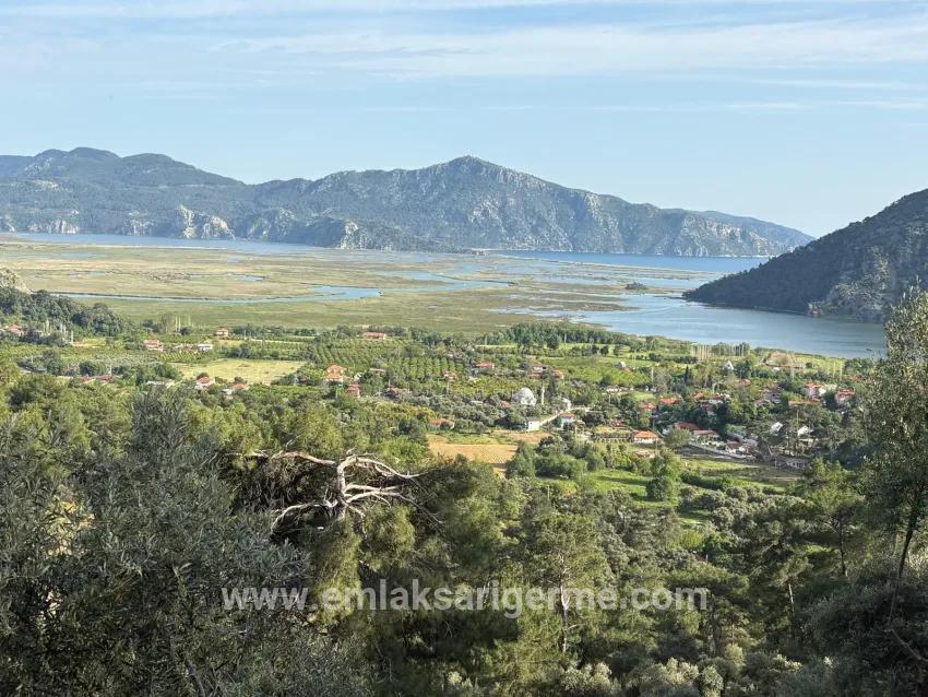 Для продажи Поле в Çandır Köyceğiz - Под Поле застройку - 1.252 m²