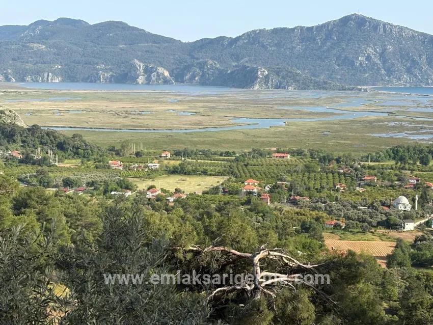 Для продажи Поле в Çandır Köyceğiz - Под Поле застройку - 1.252 m²