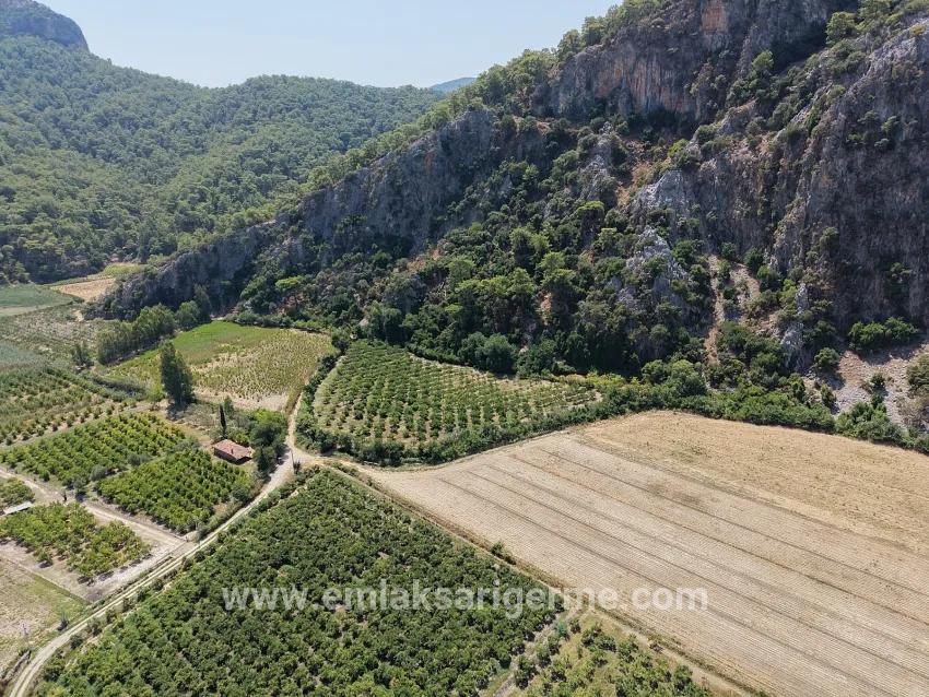 Для продажи Поле в Dalyan Ortaca - Под Поле застройку - 20.786 m²