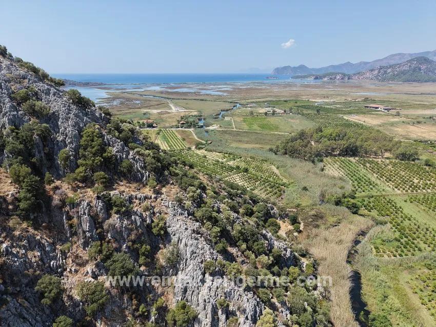 Для продажи Поле в Dalyan Ortaca - Под Поле застройку - 20.786 m²