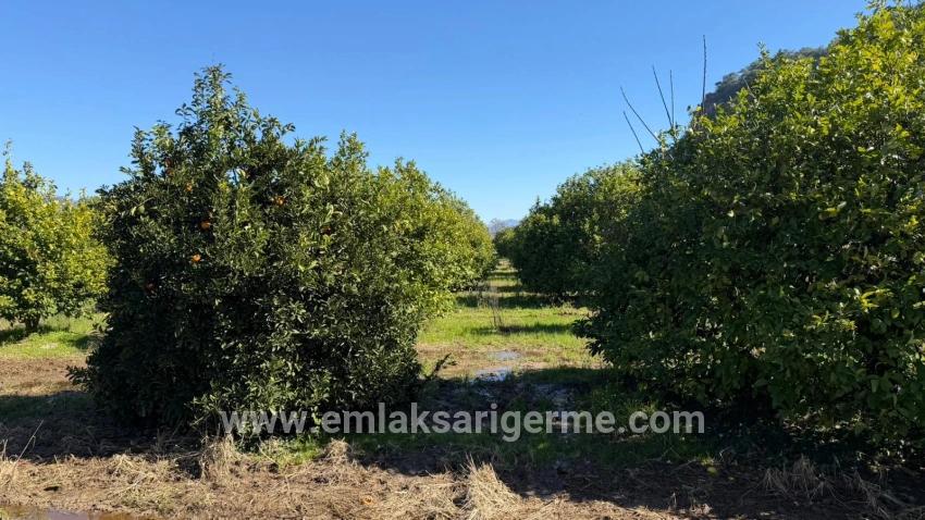 Продается Земельный Участок Площадью 2 218 М² В Окчуларе, Мармарис.