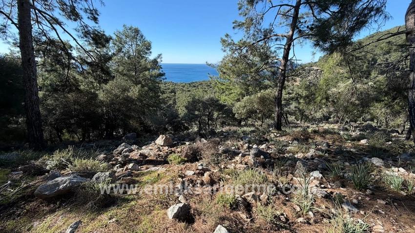 Для продажи Поле в Çandır Köyceğiz - Под Жилье застройку - 5.715 m²
