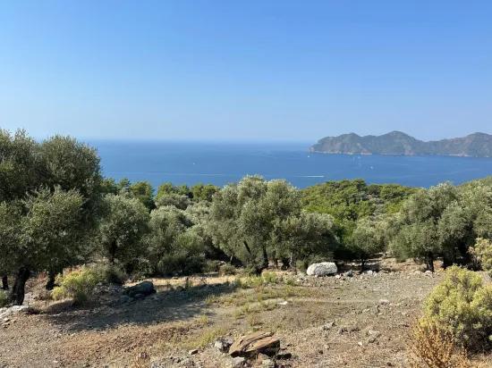 В Çandır с видом на море 21.000 m2 продаётся 2b поле