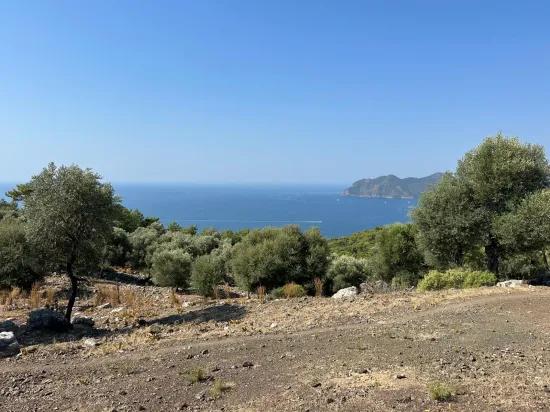 В Çandır с видом на море 21.000 m2 продаётся 2b поле