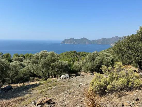 В Çandır с видом на море 21.000 m2 продаётся 2b поле