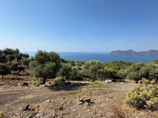 В Çandır с видом на море 21.000 m2 продаётся 2b поле
