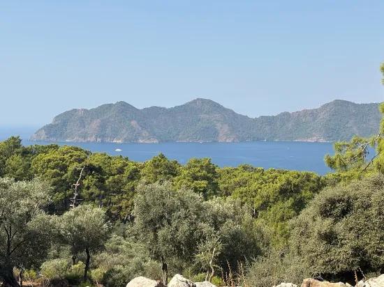 В Çandır с видом на море 21.000 m2 продаётся 2b поле