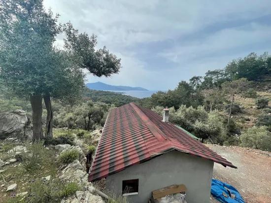 Köyceğiz Ekincik масличный сад с видом на море 7.000m2 2b на продажу