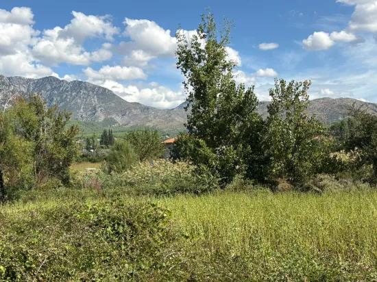 Поле площадью 10.500 m2 продаётся в Köyceğiz Zeytinalanı