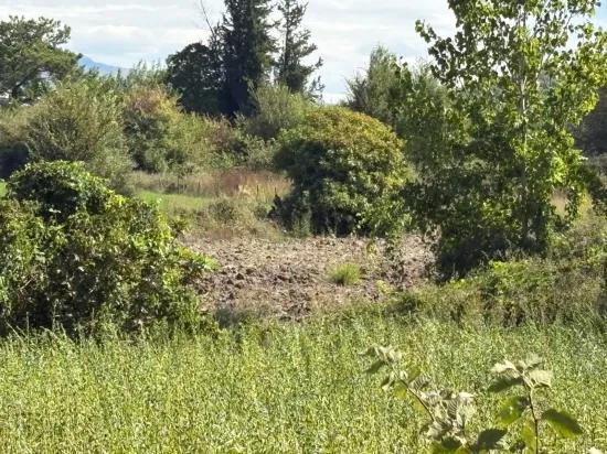 Поле площадью 10.500 m2 продаётся в Köyceğiz Zeytinalanı