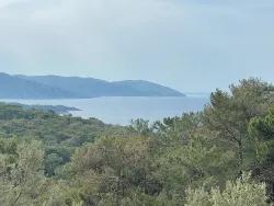 Для продажи Поле в Ekincik Köyceğiz - Под Оливковая роща застройку - 7.000 m²