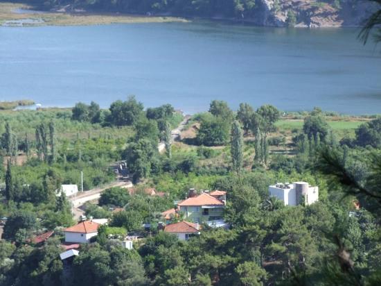 Продается Земельный Участок Площадью 19 334 М² В Чандыре, Кёйджегиз.