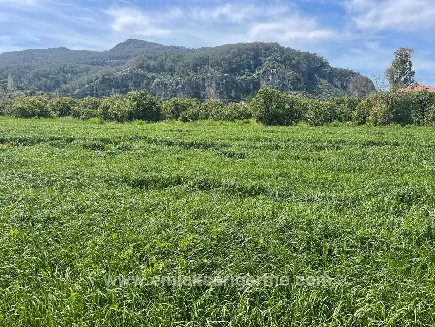 Ortaca Okçular Mah. Satılık Arsa - Konut İmar Durumlu - 736 m²