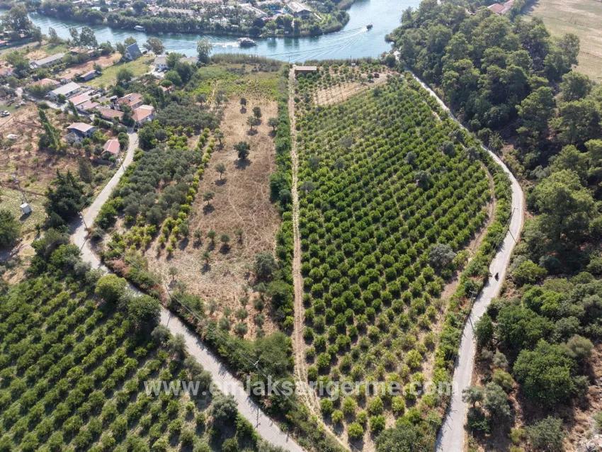 Köyceğiz Çandır Mahallesinde kanala sıfır 20.000m2 satılık tarla