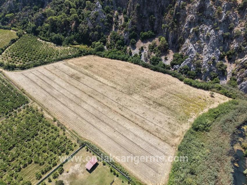 Ortaca Dalyan Mah. Satılık Tarla - Tarla İmar Durumlu - 20.786 m²