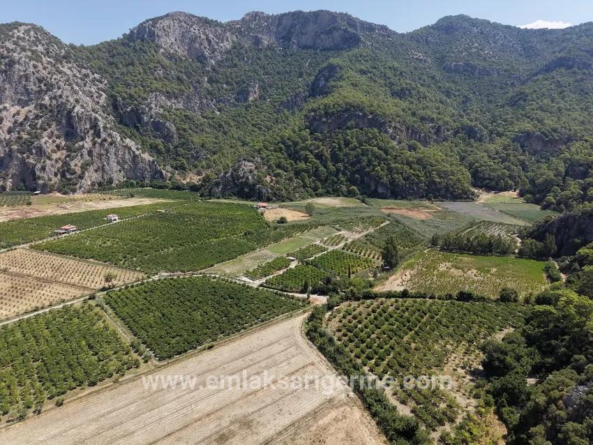 Ortaca Dalyan Mah. Satılık Tarla - Tarla İmar Durumlu - 20.786 m²