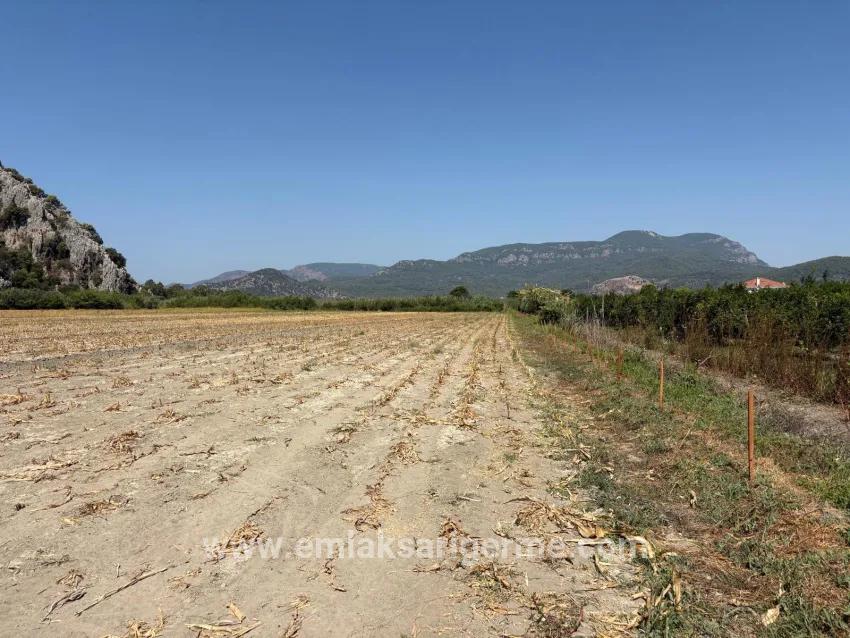 Ortaca Dalyan Mah. Satılık Tarla - Tarla İmar Durumlu - 20.786 m²
