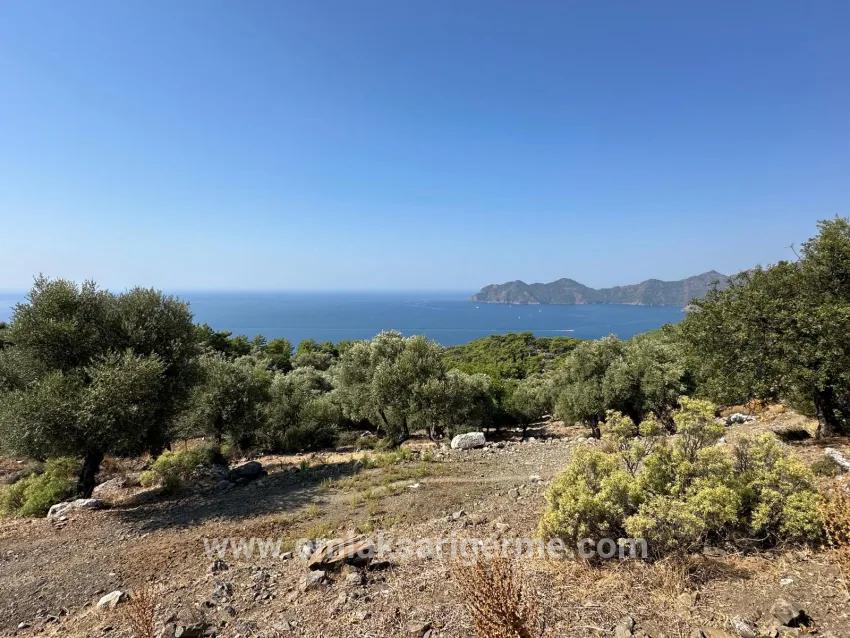 Köyceğiz Çandır Mah. Satılık Tarla - Tarla İmar Durumlu - 21.000 m²