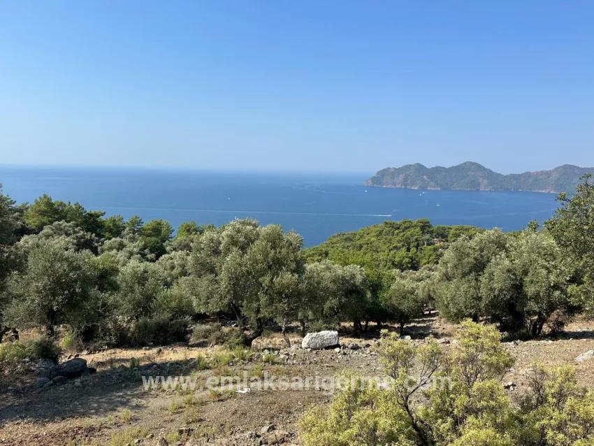 Köyceğiz Çandır Mah. Satılık Tarla - Tarla İmar Durumlu - 21.000 m²