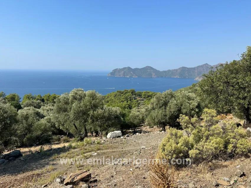 Köyceğiz Çandır Mah. Satılık Tarla - Tarla İmar Durumlu - 21.000 m²