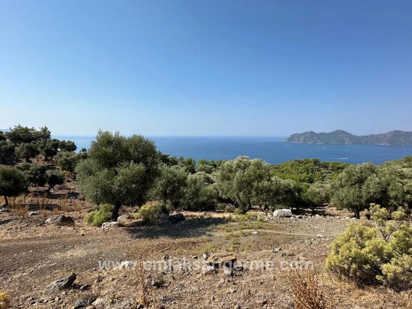 Köyceğiz Çandır Mah. Satılık Tarla - Tarla İmar Durumlu - 21.000 m²