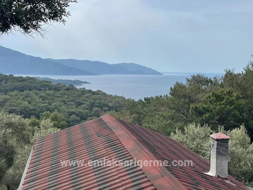 Köyceğiz Ekincik Mah. Satılık Tarla - Zeytinlik İmar Durumlu - 7.000 m²