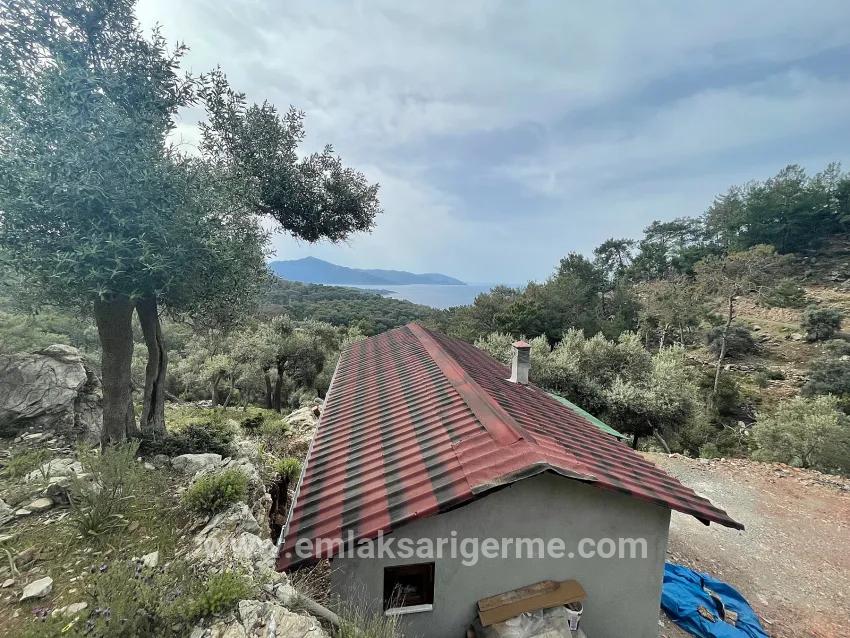 Köyceğiz Ekincik Mah. Satılık Tarla - Zeytinlik İmar Durumlu - 7.000 m²