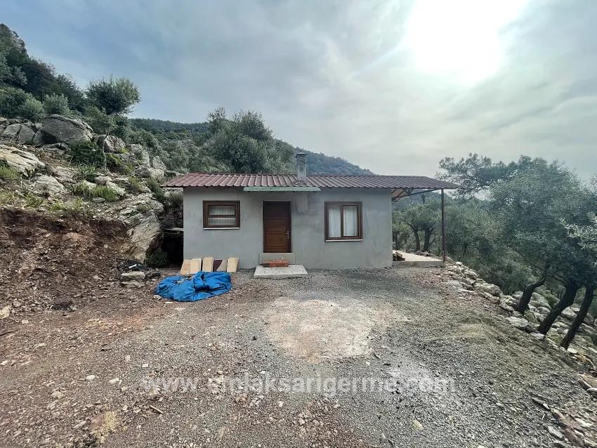 Köyceğiz Ekincik Mah. Satılık Tarla - Zeytinlik İmar Durumlu - 7.000 m²