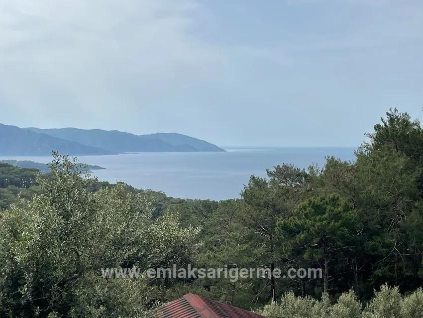 Köyceğiz Ekincik Mah. Satılık Tarla - Zeytinlik İmar Durumlu - 7.000 m²