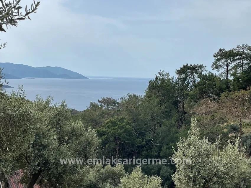 Köyceğiz Ekincik Mah. Satılık Tarla - Zeytinlik İmar Durumlu - 7.000 m²