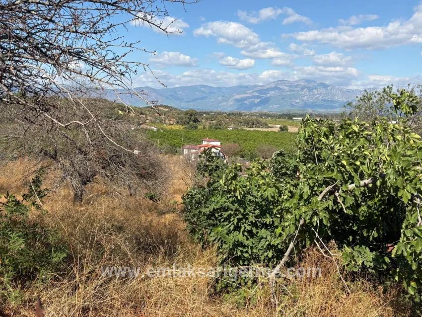 Ortaca Dalyan Mah. Satılık Tarla - Tarla İmar Durumlu - 5.000 m²