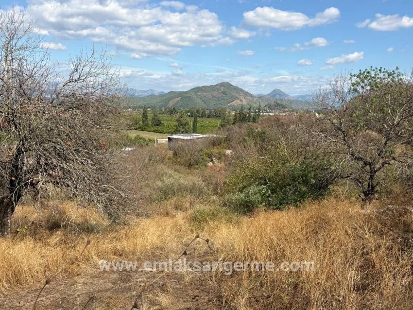 Ortaca Dalyan Mah. Satılık Tarla - Tarla İmar Durumlu - 5.000 m²