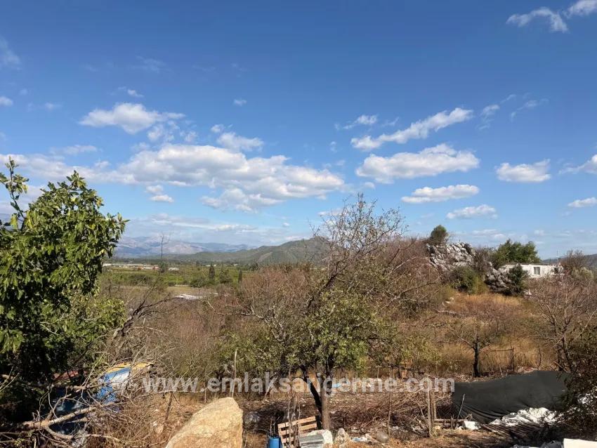Ortaca Dalyan Mah. Satılık Tarla - Tarla İmar Durumlu - 5.000 m²