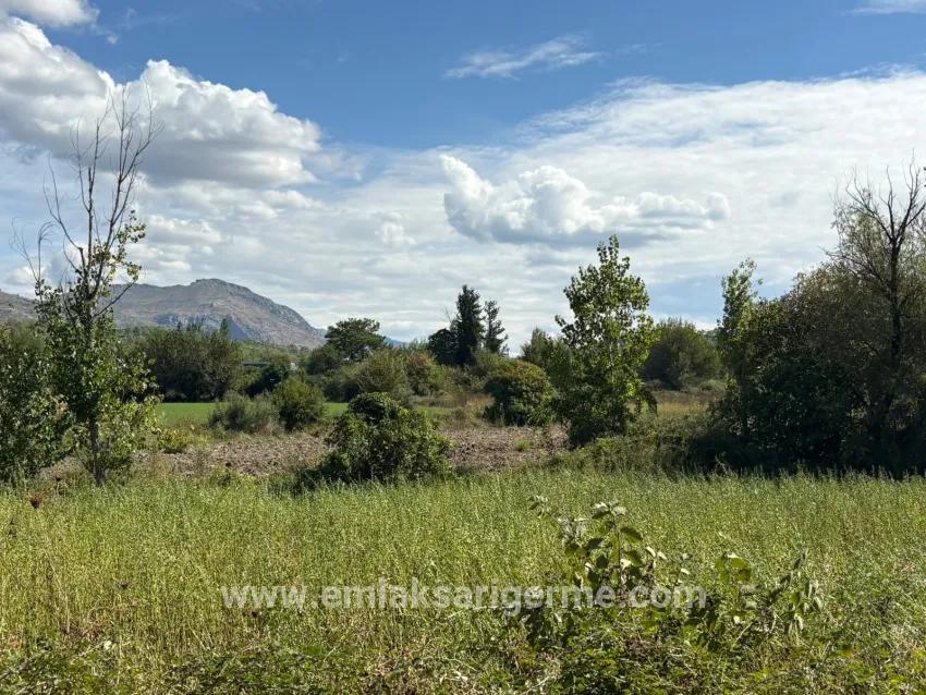 Köyceğiz Zeytinalanı Mah. Satılık Tarla - Tarla İmar Durumlu - 10.500 m²