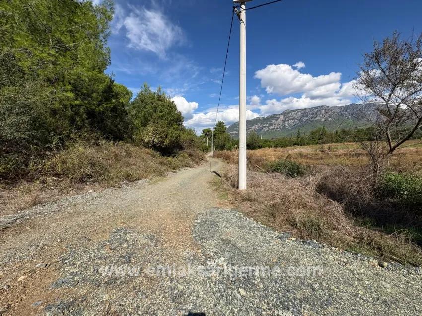Köyceğiz Zeytinalanı Mah. Satılık Tarla - Tarla İmar Durumlu - 10.500 m²