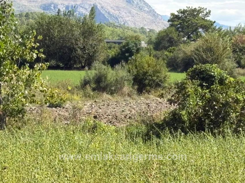 Köyceğiz Zeytinalanı Mah. Satılık Tarla - Tarla İmar Durumlu - 10.500 m²