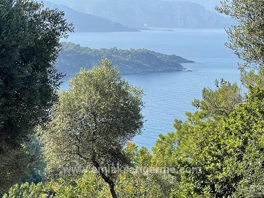 Ekincik Çandır Arasın'da Deniz Manzaralı Kelepir Emlak Satılık Arsa