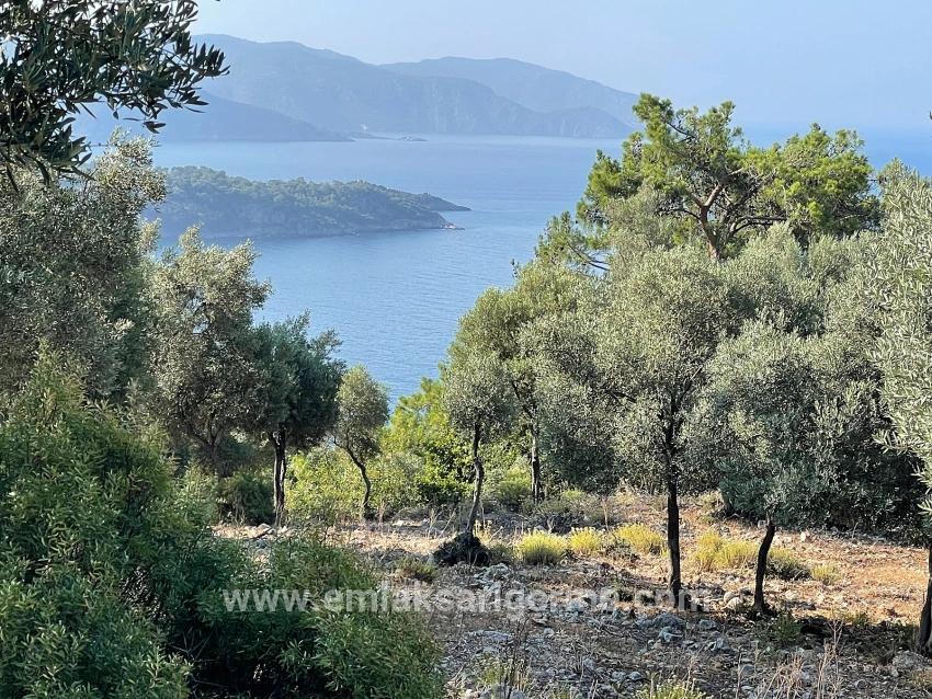 Köyceğiz Çandır Mah. Satılık Tarla - Konut İmar Durumlu - 10.481 m²