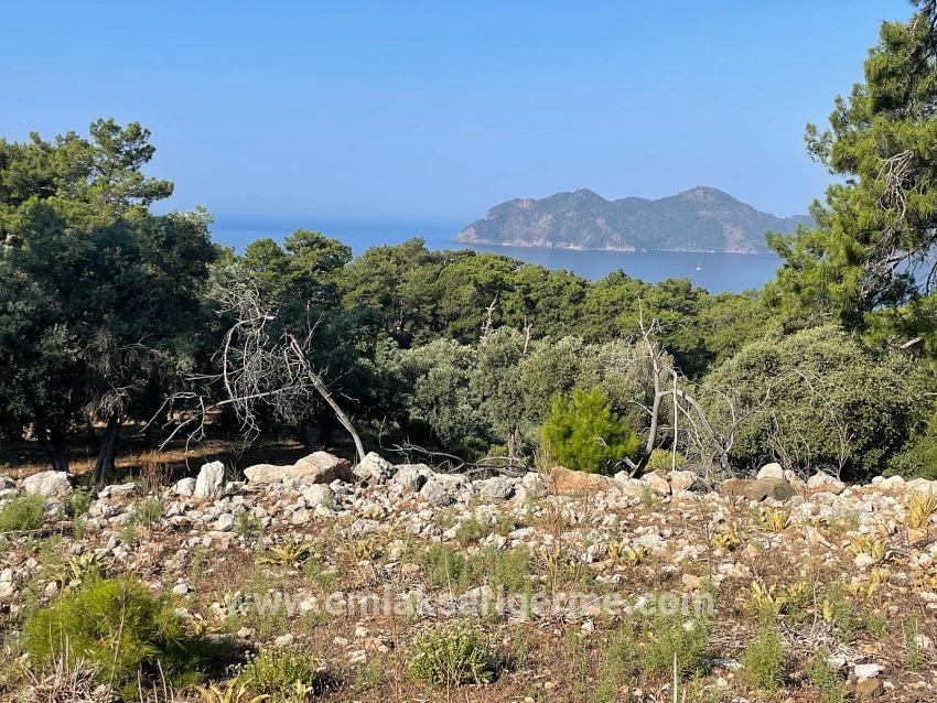 Köyceğiz Çandır Mah. Satılık Tarla - Konut İmar Durumlu - 10.481 m²